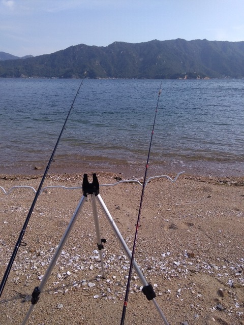 呉市 防波堤 マダイ 投げ釣り 瀬戸内 ぶっこみ釣り 大物狙い